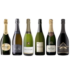 Champagne Discovery Set 3.0 (Moet & Chandon Imperial Brut + Veuve Clicquot  Yellow Label Brut + Perrier-Jouet Grand Brut + Piper-Heidsieck Champagne  Brut + Mumm Cordon Rouge + Champagne Waris et Filles