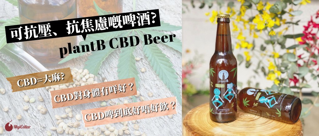 香港第一支為女士而設 嘅cbd啤酒 Plantb Cbd Beer 可抗壓 抗焦慮嘅啤酒 雲窖myicellar